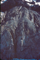 Photo of sample